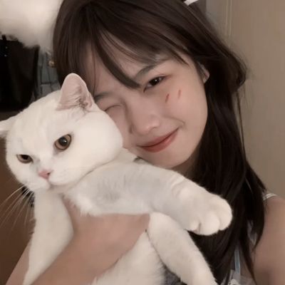 无限放置物语游戏下载